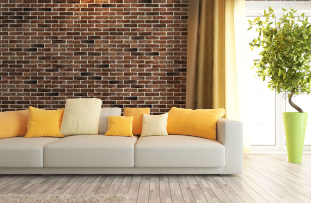 accent-wall-and-sofa