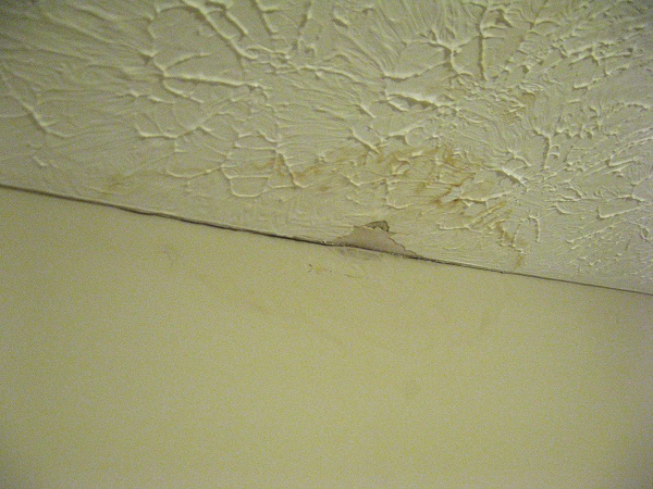 Ceiling Repair And Water Damage Here S What You Should Do